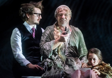 CANDIDE vagy a radikális optimizmus