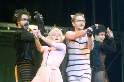 Macskafogó Macskafogó